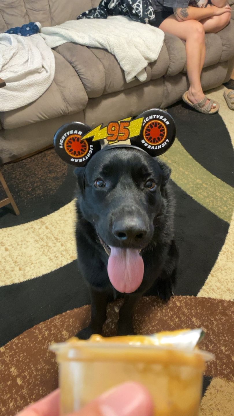 Customer photo review of Cars Mickey Ears for Boys