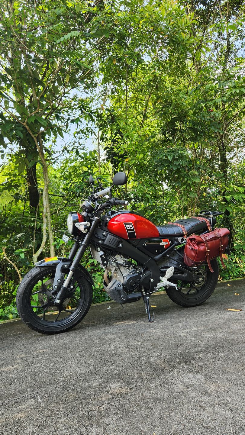 Customer photo review of outlaw saddlebag