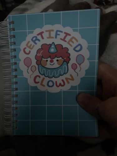 Customer photo review of Certified Clown Small Sticker Book