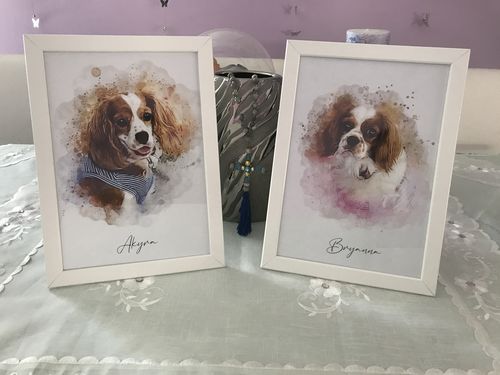 Customer photo review of Πορτραίτο Κατοικίδιου - Νερομπογιά