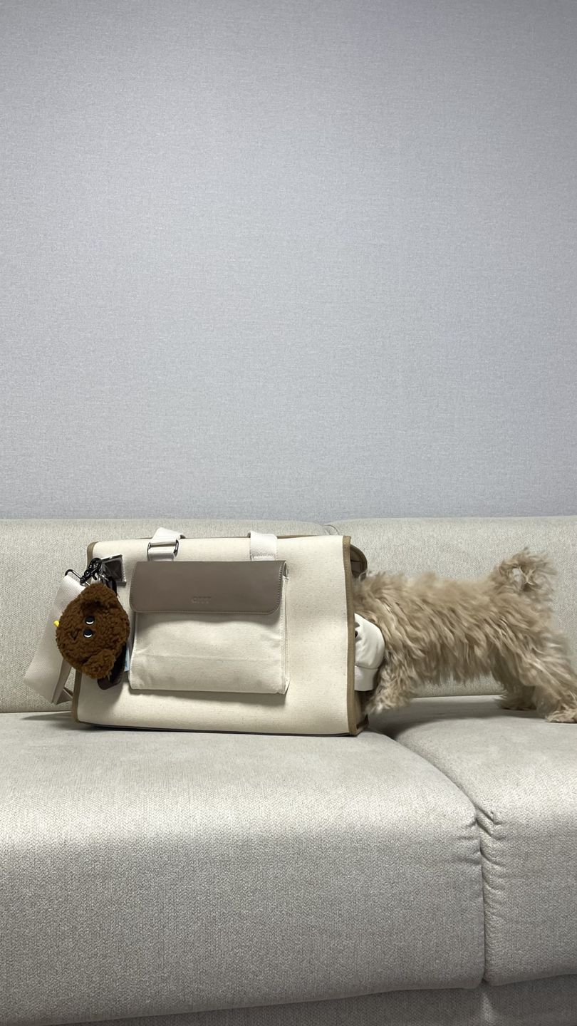 Customer photo review of Sunday Pet Bag