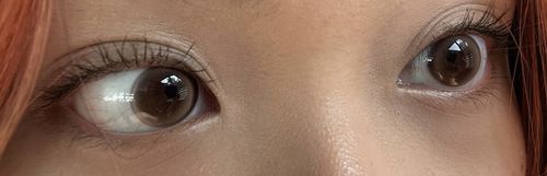 Customer photo review of HAPA Signature Trial 1Day (2p) Set