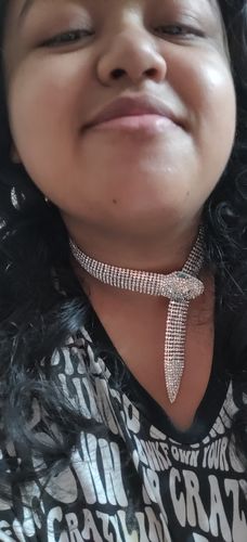 Customer photo review of Rubans Voguish Silver Toned Zircon Studded Serpent Statement Necklace