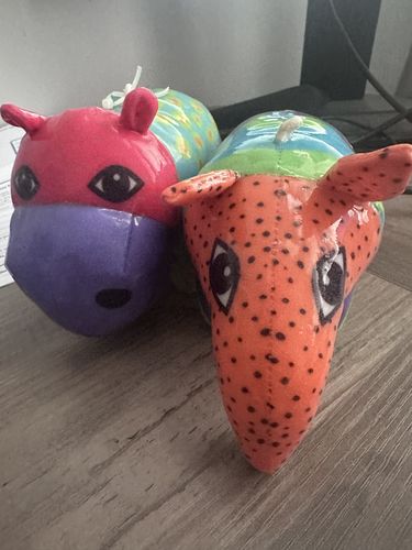 Customer photo review of Kong Shieldz Anteater