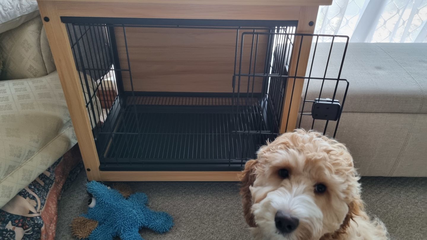 Customer photo review of PaWz Wooden Wire Dog Kennel