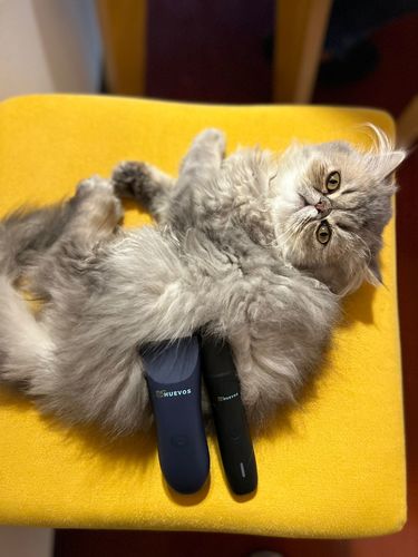 Customer photo review of KIT PRIME - MyHUEVOS®