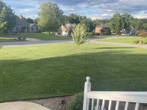 Customer photo review of OII-YS Natural Adjuvant