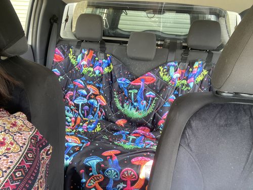 Customer photo review of Neon Mushrooms Dog Car Seat Covers
