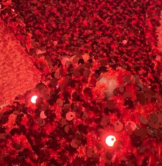 Customer photo review of Red Sequin on Velvet