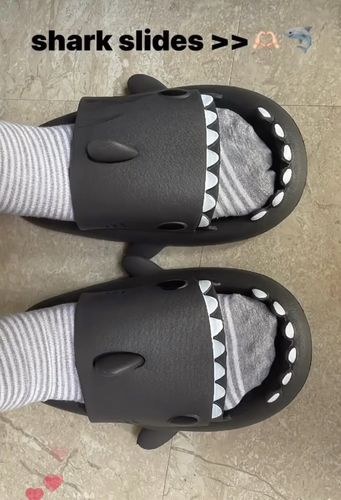 Customer photo review of The Original Shark Slides