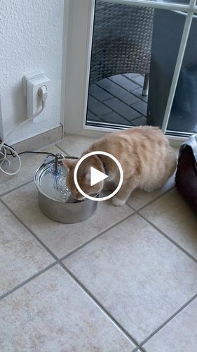 Customer video review of Kitty™ - Premium Trinkbrunnen