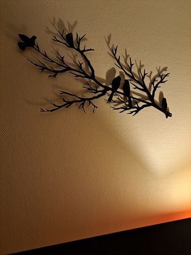 Customer photo review of Oiseaux sur branche - 2