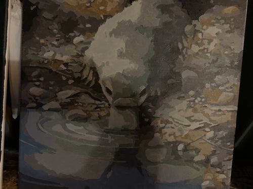 Customer photo review of Platypus & Reflection