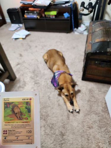 Customer photo review of Acrylic Case