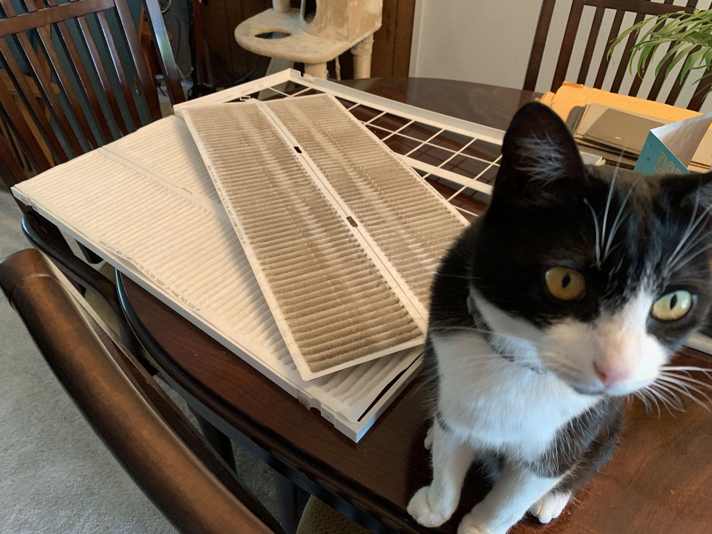 Customer photo review of MERV 13 Air Filter
