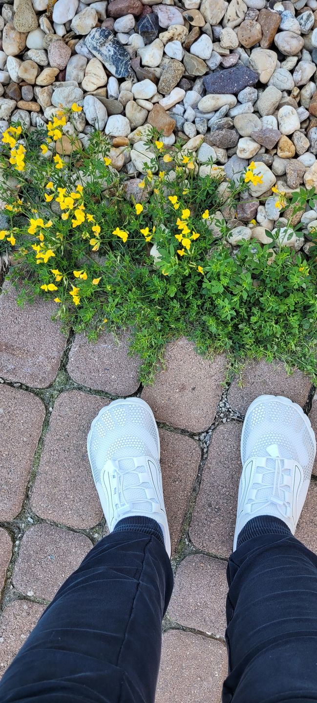 Customer photo review of Sport Max - gesunde & bequeme Barfußschuhe