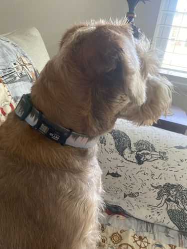 Customer photo review of ByteTag Slide