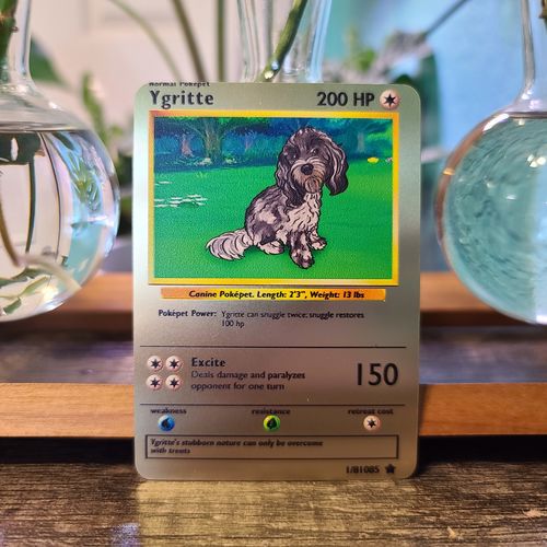 Customer photo review of Pokepet