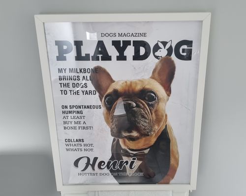 Customer photo review of 'Playdog' Personalized Pet Poster