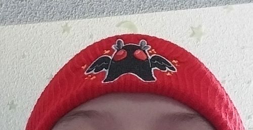 Customer photo review of Mothman Beanie