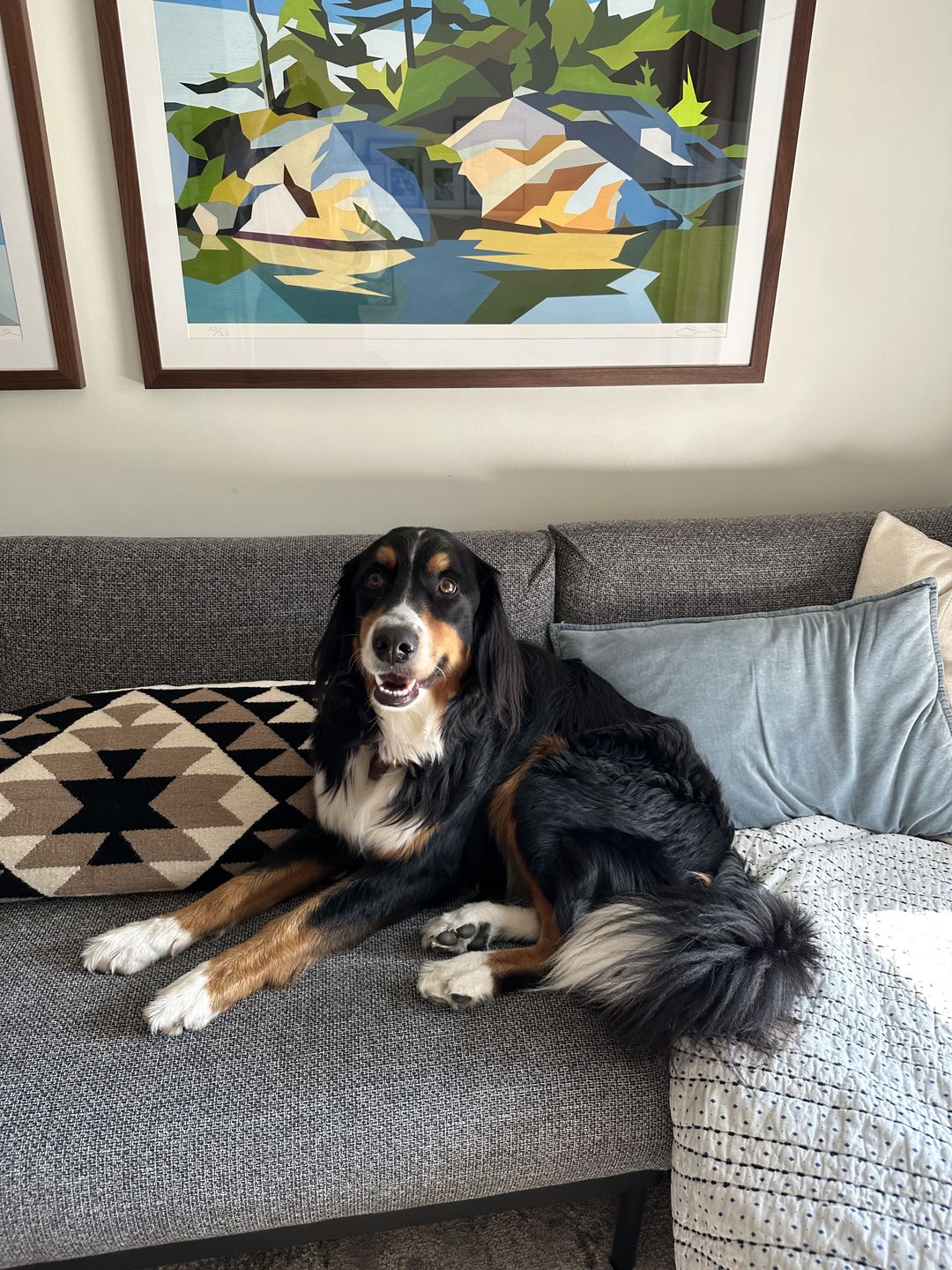 Customer photo review of Rama Handwoven Extra Long Lumbar Pillow