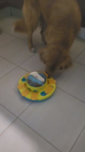Customer photo review of DogFri™ ToyFeeder - Hundelegetøj Fodring Træning