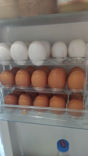 Customer photo review of EggBox - Tre Lag Med Selvreturnering Boks Til Opbevaring Af Æg