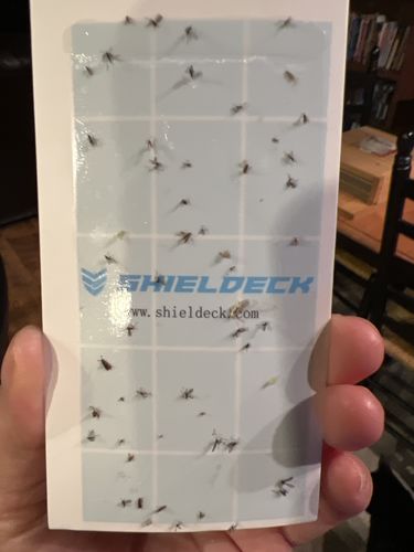 Customer photo review of BuzzTrap Refills (8-Pack) Sticky Pads