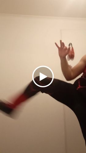 Customer video review of INTÉGRALE FORCE
