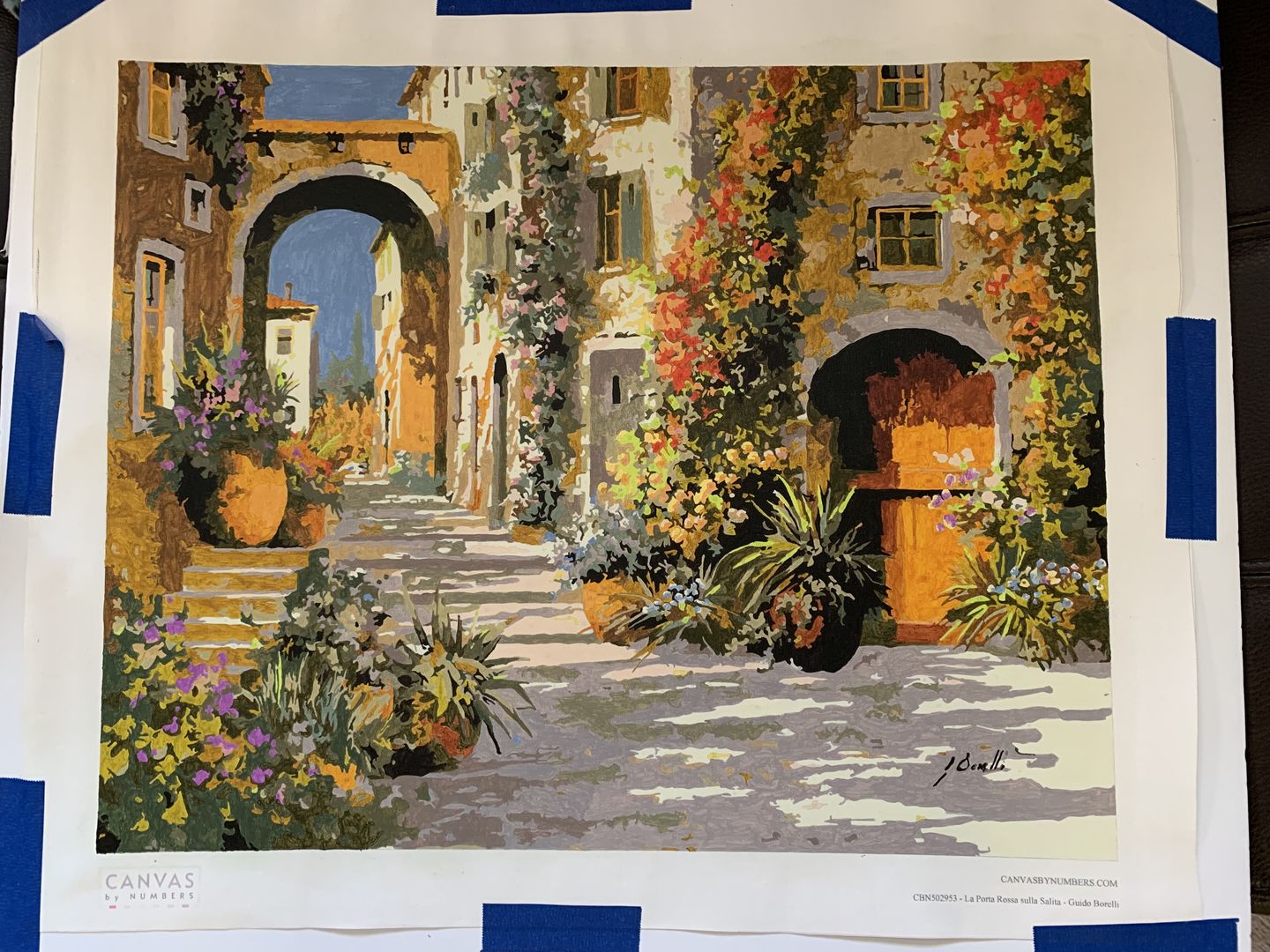 Customer photo review of La Porta Rossa sulla Salita - Paint by Numbers