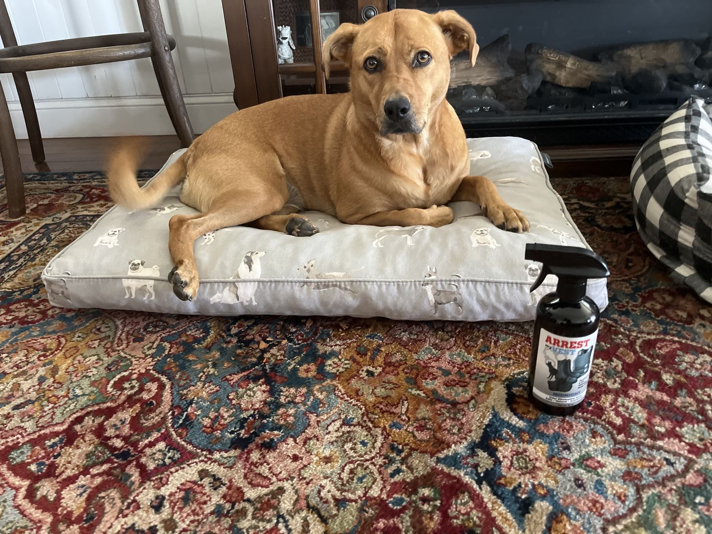 Customer photo review of Buy 2 Get 4 FREE - (2) 16 oz Sprays, (2) 4 oz Sprays, + 2 Air Fresheners