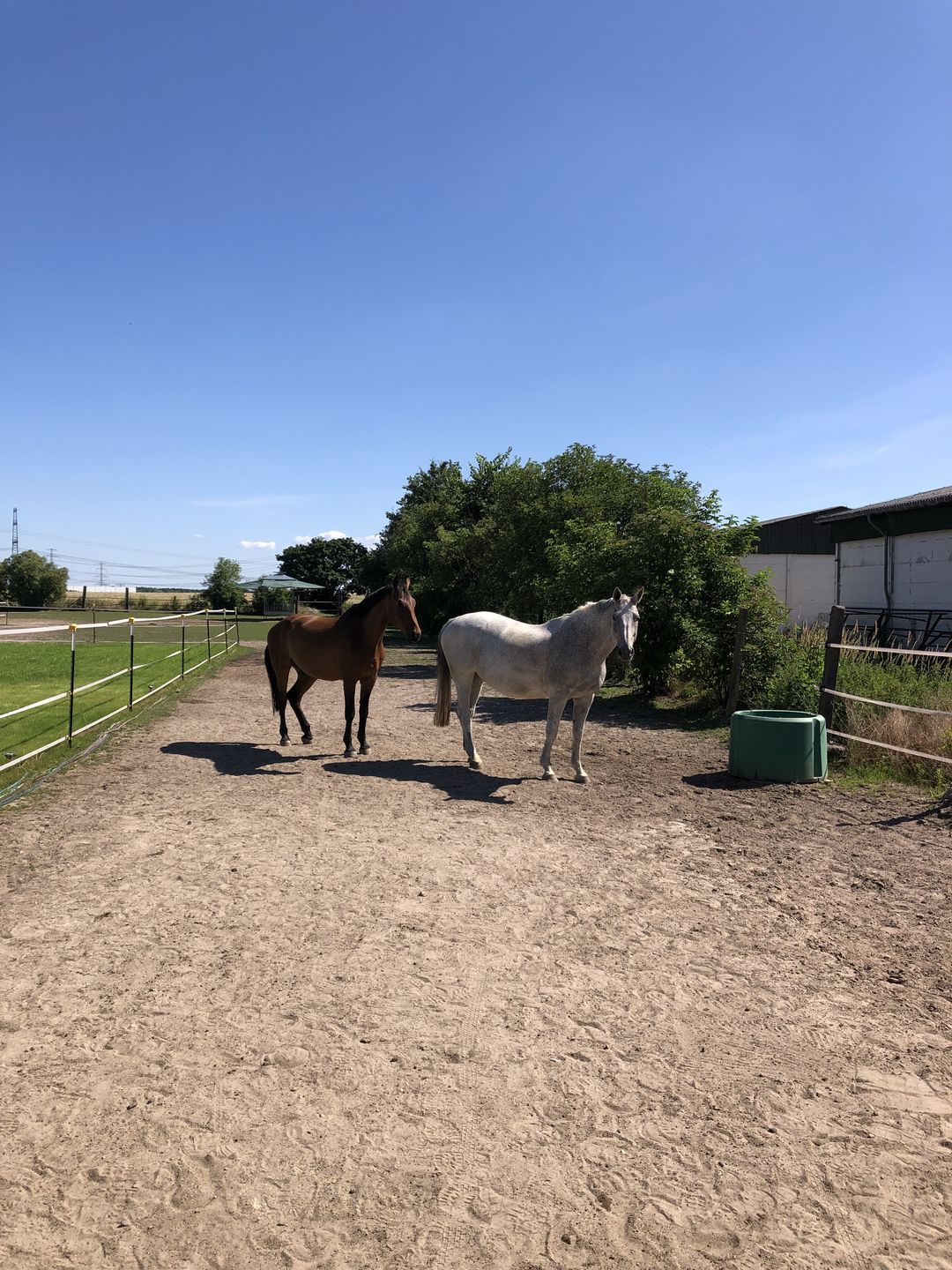Customer photo review of Kristallkraft Femmina