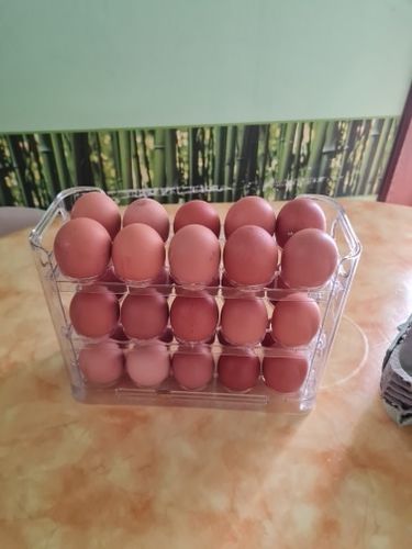 Customer photo review of EggBox - Tre Lag Med Selvreturnering Boks Til Opbevaring Af Æg