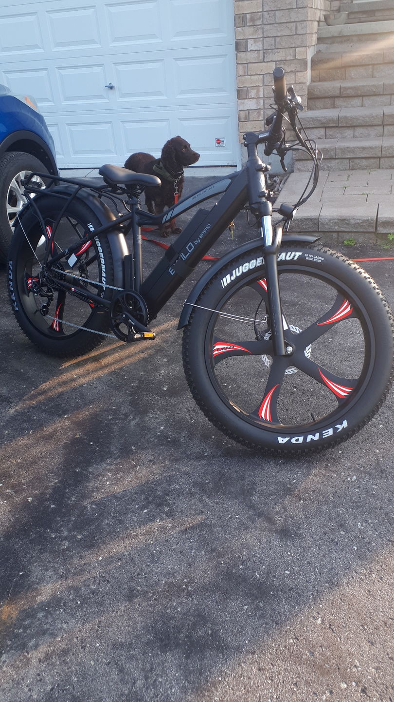 Customer photo review of E-Wild Pro