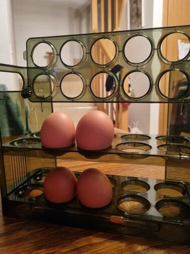 Customer photo review of EggBox - Tre Lag Med Selvreturnering Boks Til Opbevaring Af Æg