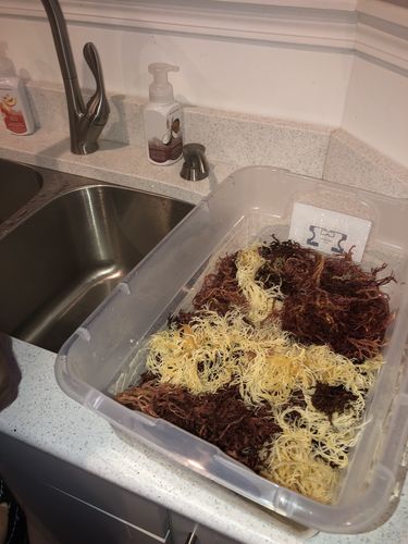 Customer photo review of Raw Sea Moss Bundle