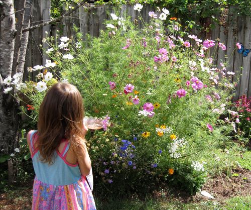 Customer photo review of Bring Home the Butterflies Flower Mix Seeds