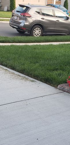 Customer photo review of Protene Hybrid Summer Fertilizer 6-0-0 +14% Fe