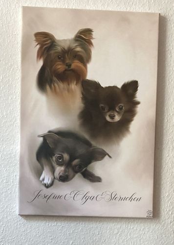 Customer photo review of Öl Pawtrait