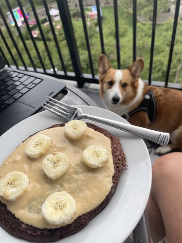 Customer photo review of Chocolate Protein Pancake & Waffle Mix