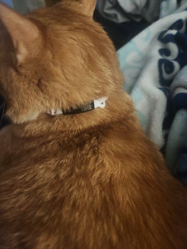 Customer photo review of ByteTag Slide