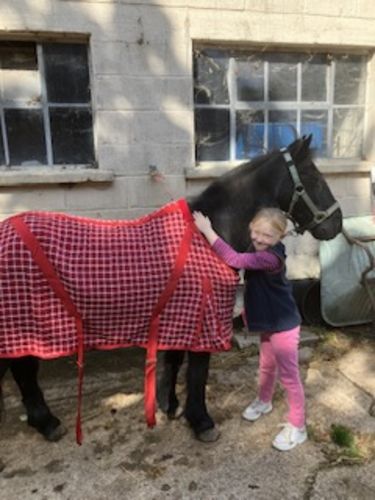 Customer photo review of Rhinegold Box Weave Cooler