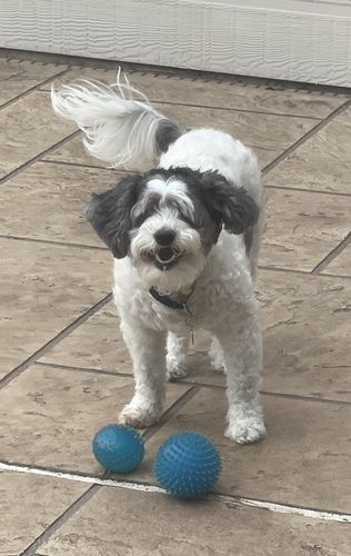 Customer photo review of Beach Silicone