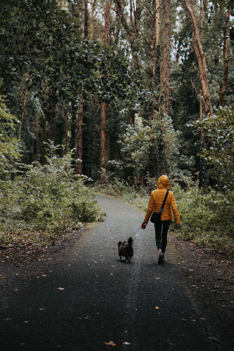 Customer photo review of WANDERLUST LIGHTROOM PRESETS