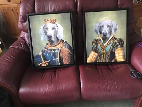 Customer photo review of The Sovereign: Custom Pet Canvas