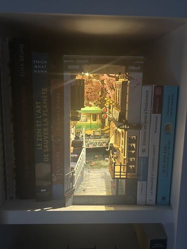 Customer photo review of ROLIFE | Book Nook Sakura Densya