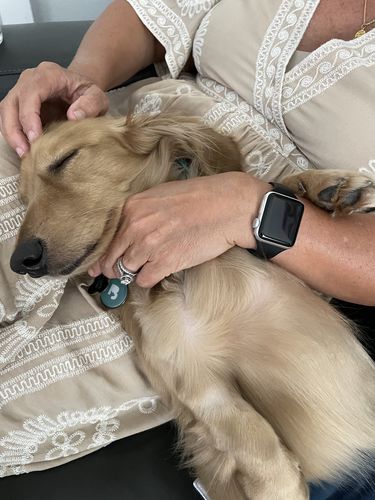 Customer photo review of Teal