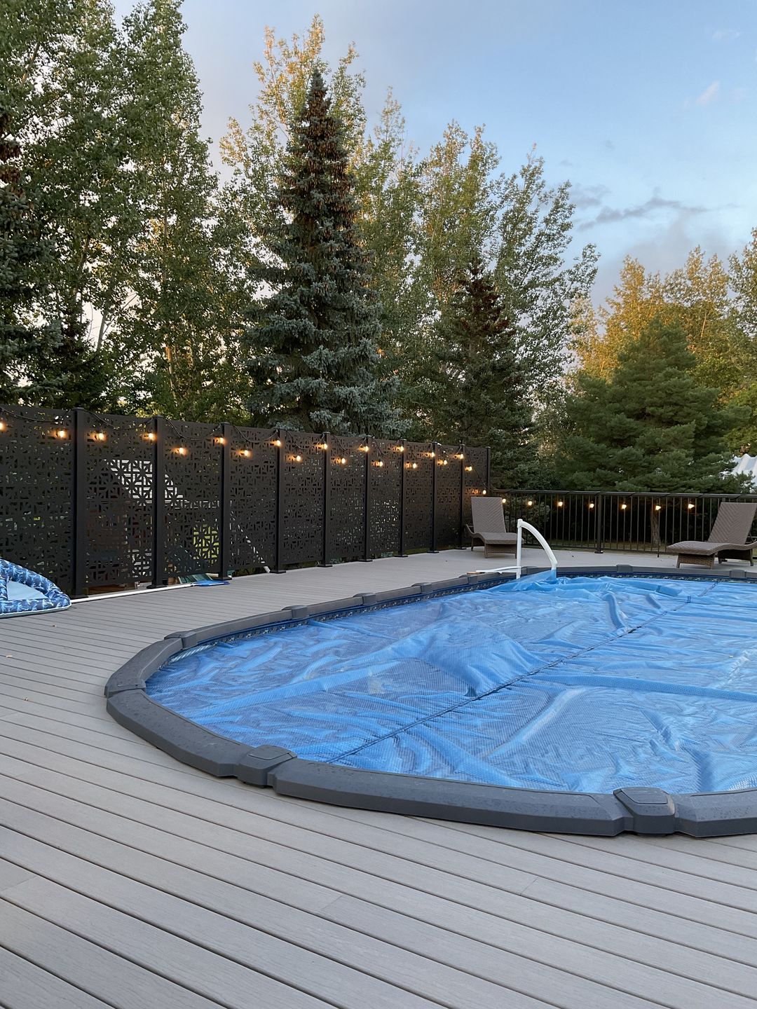 Customer photo review of Privacy Screen (Moderna)