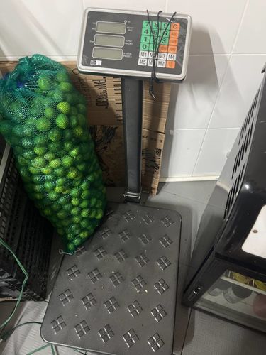 Customer photo review of Bascula Plataforma 200 Kg Electrica