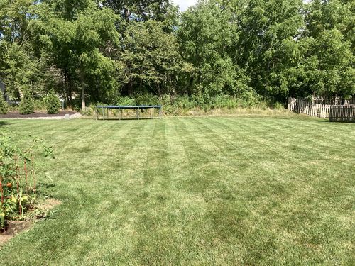 Customer photo review of Protene Performance Summer Fertilizer